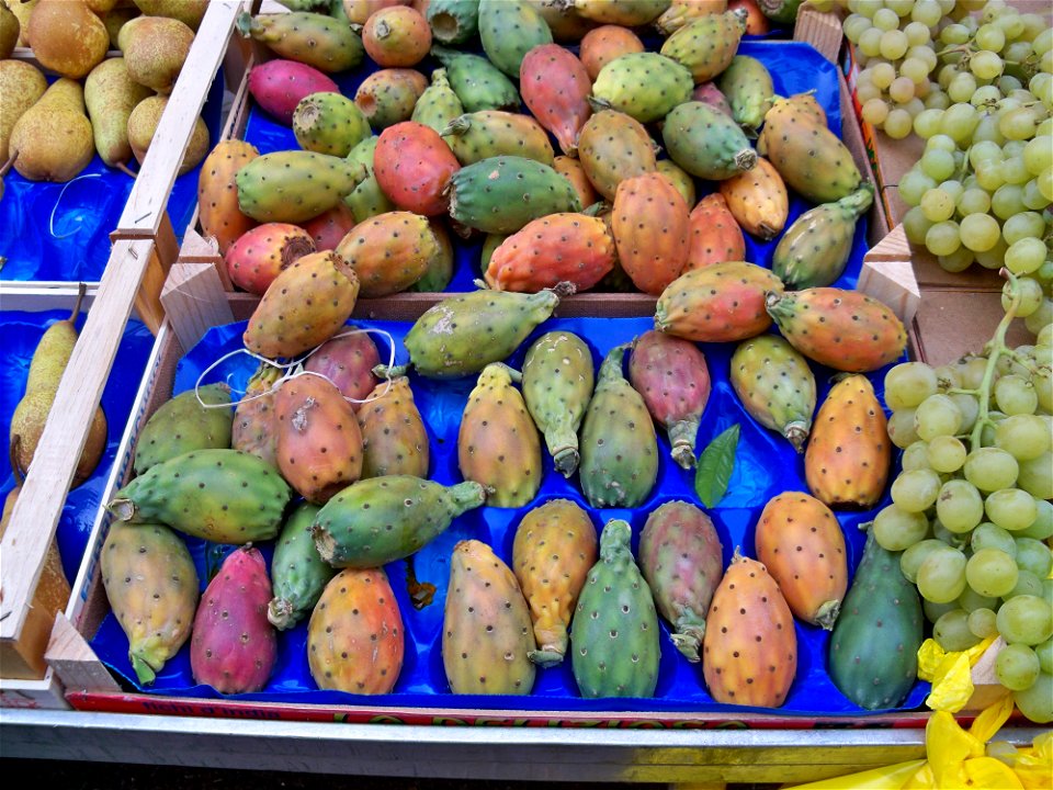 Figue de barbarie sur le marché d'Apt (Vauclue, France)
