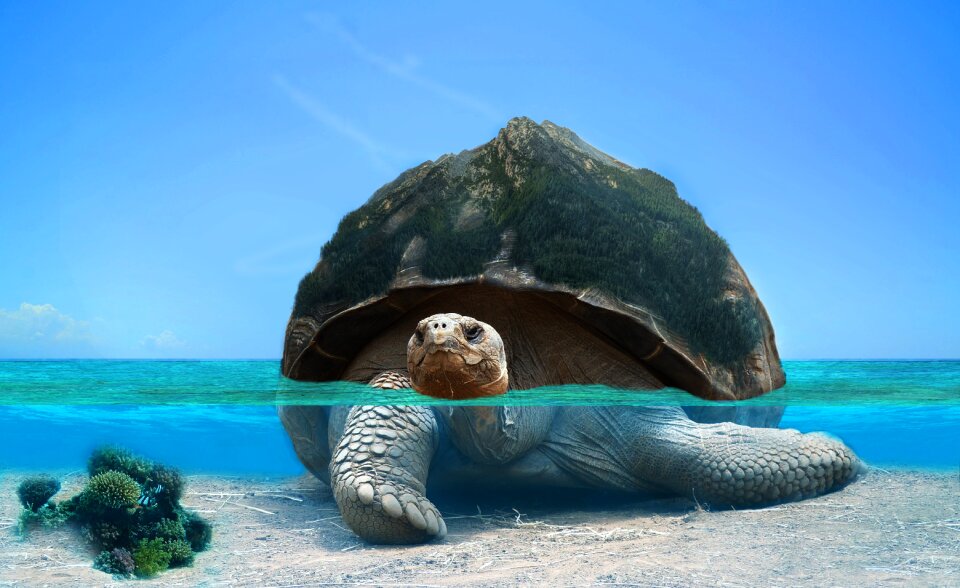 Sea ocean underwater