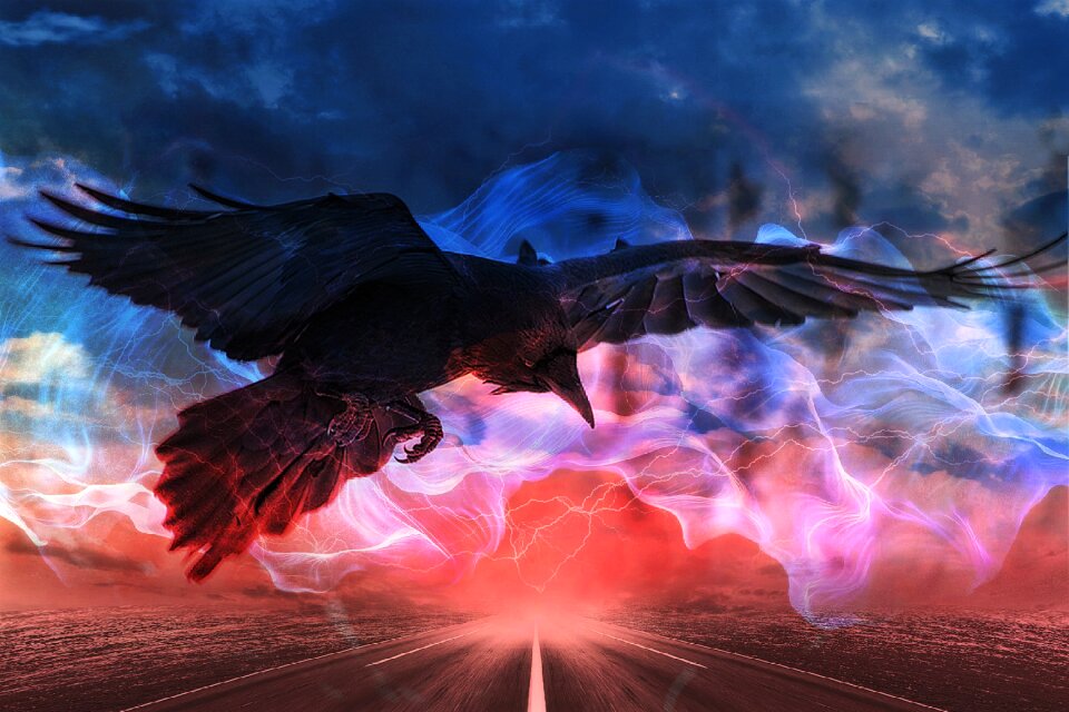 Nature black surreal
