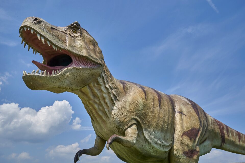 Prehistoric times t rex tyrannosaurus rex