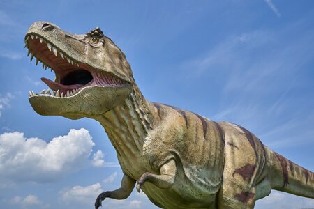 Prehistoric times t rex tyrannosaurus rex
