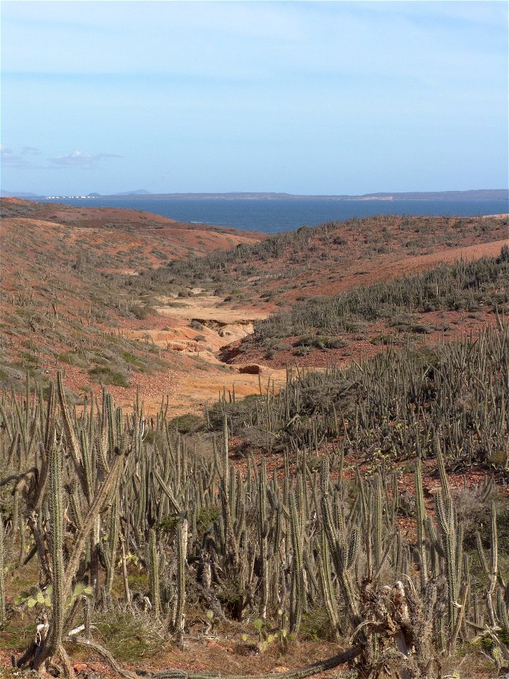 Spanish:

Sector El Coco, Isla de Coche, Nueva Esparta, Venezuela