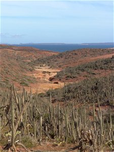 Spanish:

Sector El Coco, Isla de Coche, Nueva Esparta, Venezuela