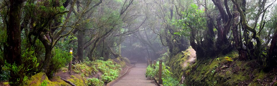 Hiking mountains canary islands