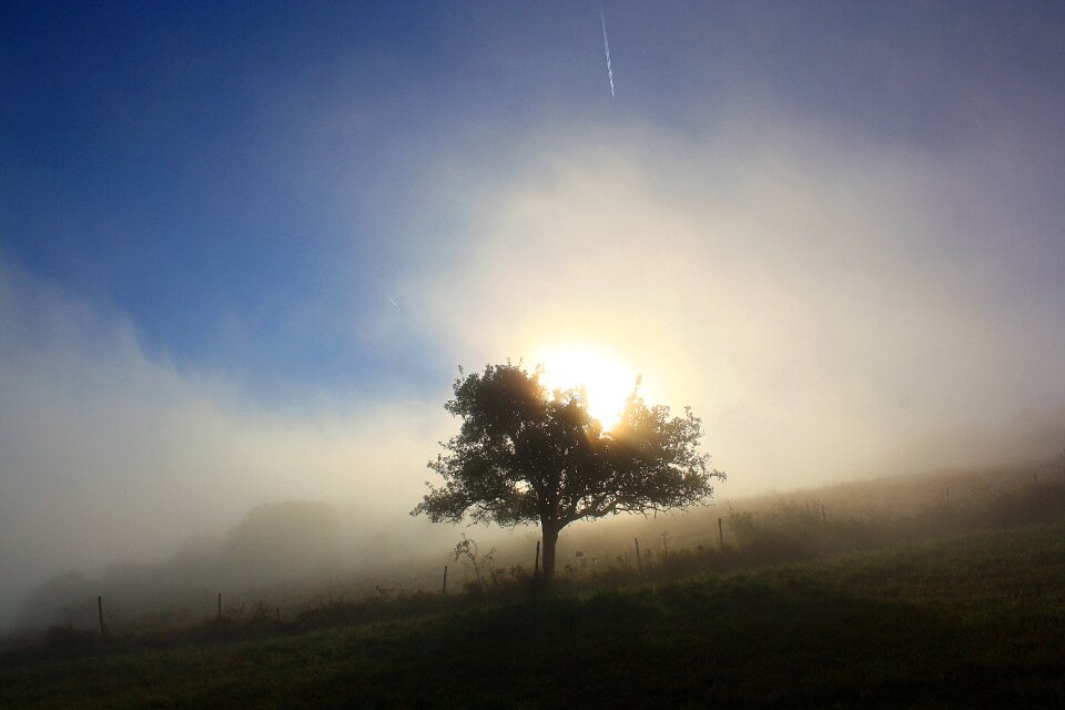 Backlighting sun morgenstimmung photo