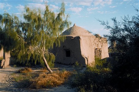 Altes Mausoleum mit Saksaul Baum / Turkmenistan photo