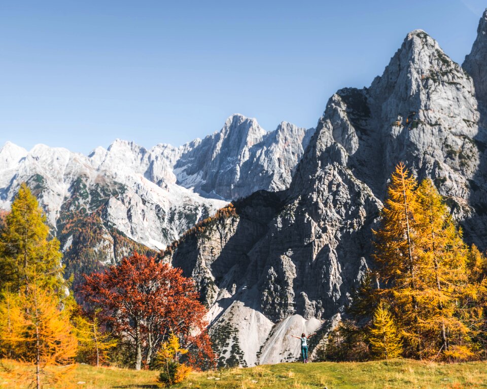 Autumn nature landscape