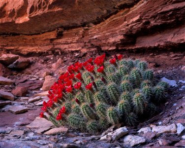 Credit: NPS/Neal Herbert.