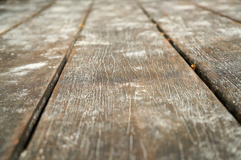 Parquet ground wall