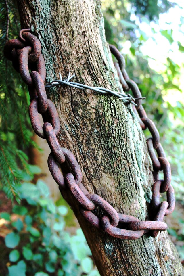 Barbed wire wood risk of injury