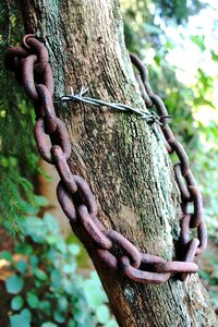 Barbed wire wood risk of injury