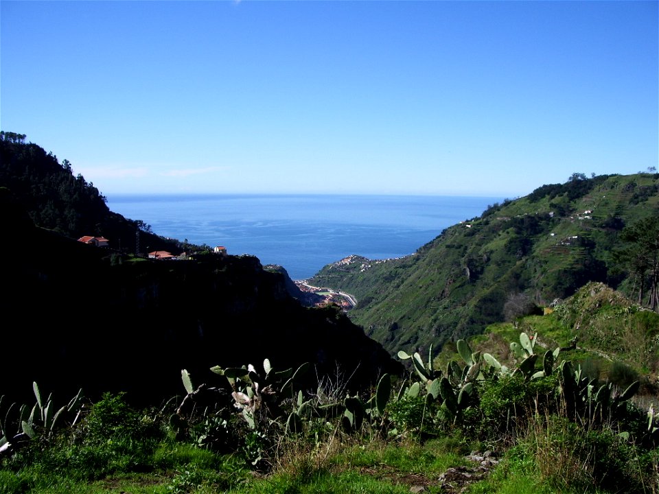 Levada Nova do Norte: View to Ribeira Brava; Opuntiae (prickly pears)
