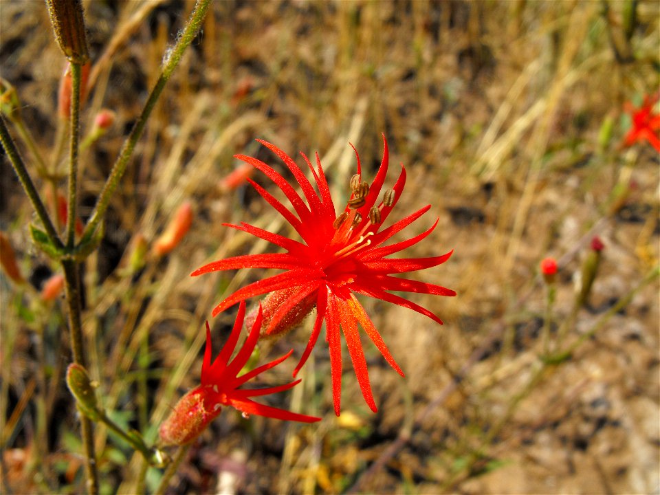 at Lake Poway in Poway, California, USA.
