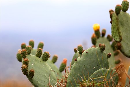 Milpa Alta / Stock