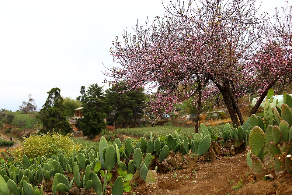 Milpa Alta / Stock