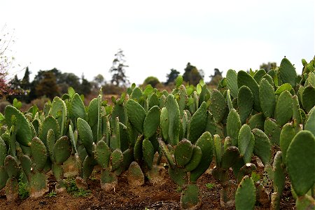Milpa Alta / Stock