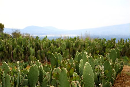 Milpa Alta / Stock