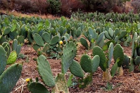 Milpa Alta / Stock