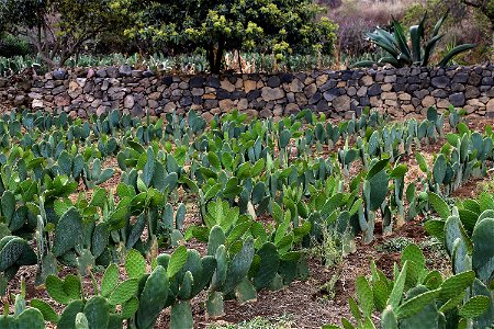 Milpa Alta / Stock