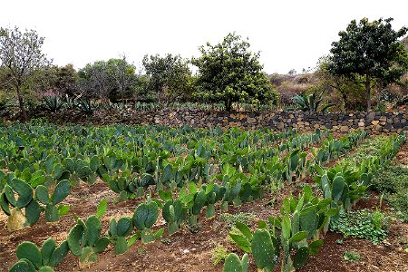 Milpa Alta / Stock