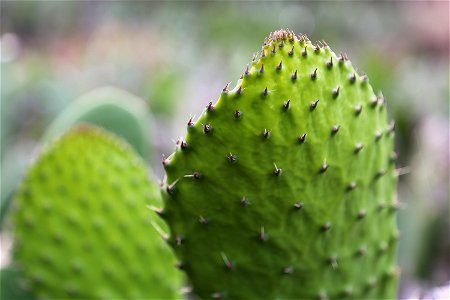 Milpa Alta / Stock