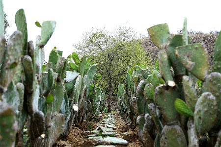 Milpa Alta / Stock