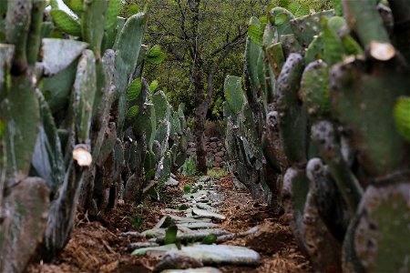 Milpa Alta / Stock