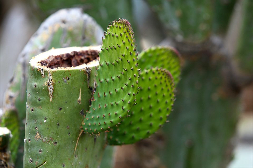 Milpa Alta / Stock