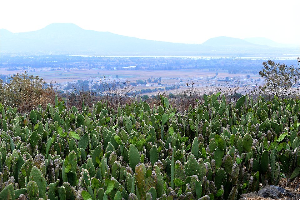 Milpa Alta / Stock