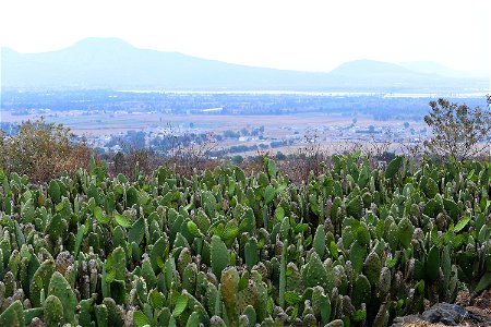 Milpa Alta / Stock