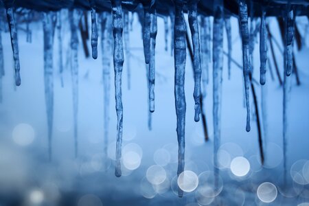 Winter seasons of the year landscape