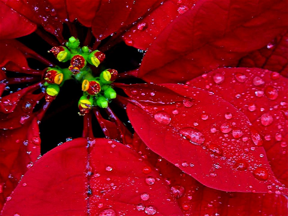 Image title: Rain
Image from Public domain images website, http://www.public-domain-image.com/full-image/nature-landscapes-public-domain-images-pictures/rain-public-domain-images-pictures/rain.jpg.htm