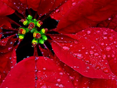 Image title: Rain
Image from Public domain images website, http://www.public-domain-image.com/full-image/nature-landscapes-public-domain-images-pictures/rain-public-domain-images-pictures/rain.jpg.htm