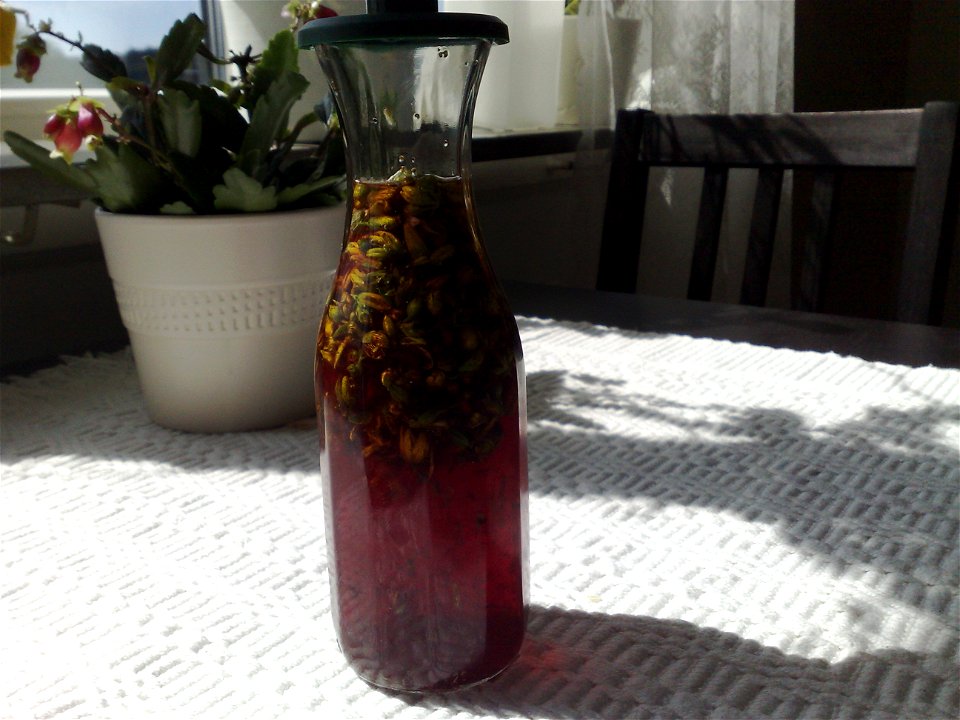 The liquor Hirkum Pirkum is made with crushed buds from the flower “St. John's wort” (Hypericum perforatum) that are soaked in eau de vie (brännvin) for a week.