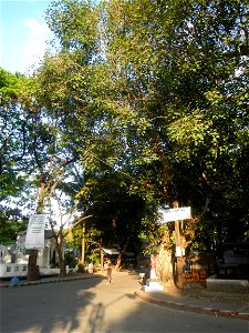 Francisco F. Benitez Elementary School South Avenue Manila South Cemetery Enclave and exclave it is legally an exclave of Manila as part of San Andres, Manila Vito Cruz Extension (Chino Roces Avenue & photo