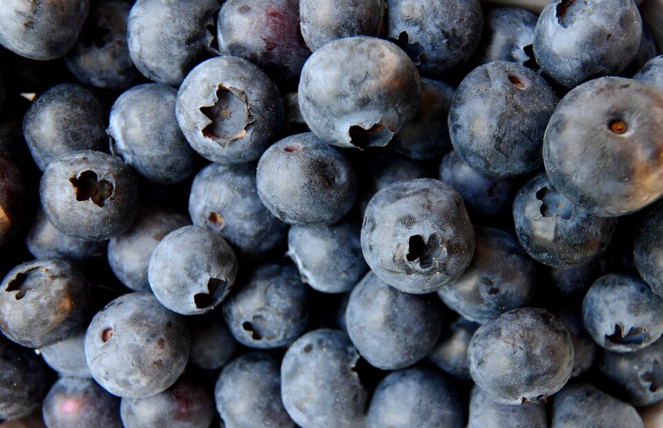 Fruit berries fruits