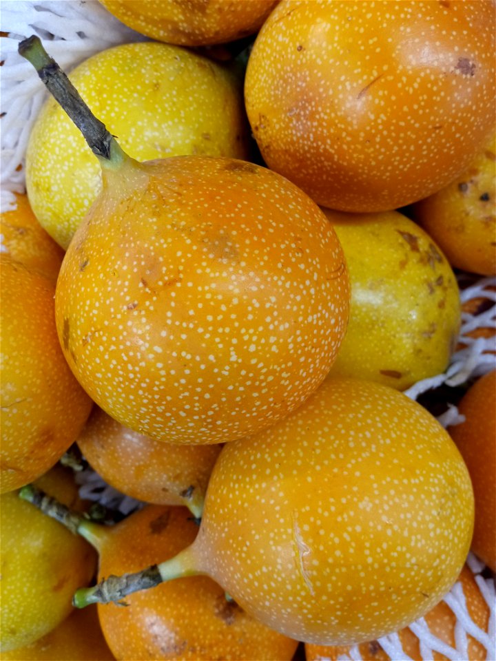 Granadilla (Passiflora ligularis).