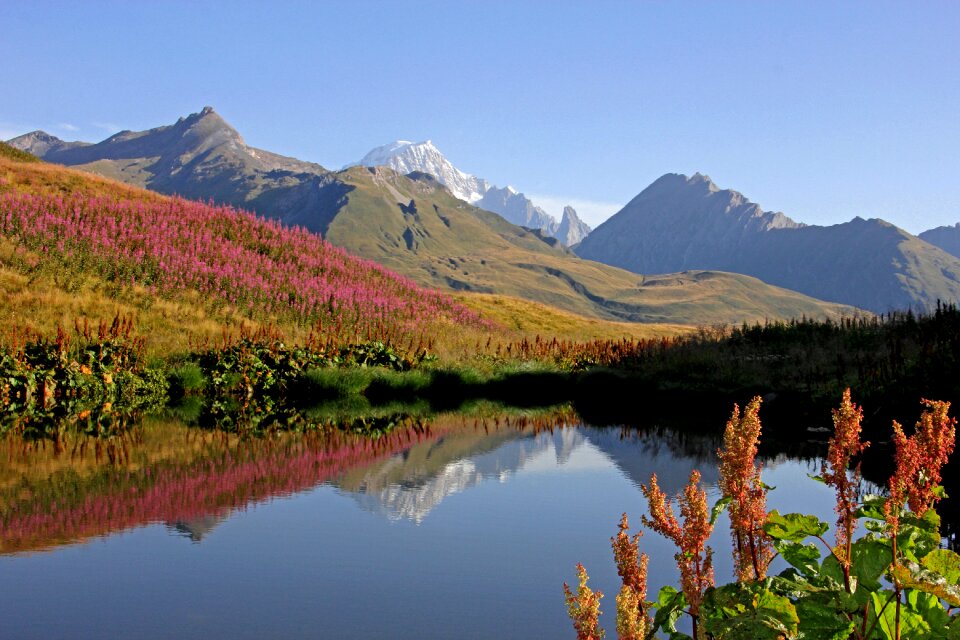 Loneliness mirroring lake