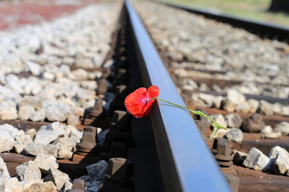 Romantic loving memory tragedy