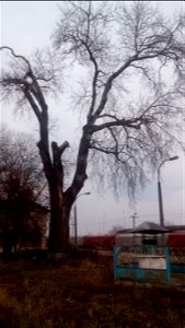 This is a photo of a natural heritage site in Moldova, id: MD-ST-mn.Cb-102