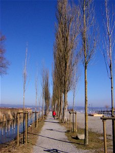Uferpromenade in Moos bei Radolfzell