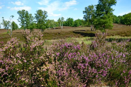 Landscape nature hiking