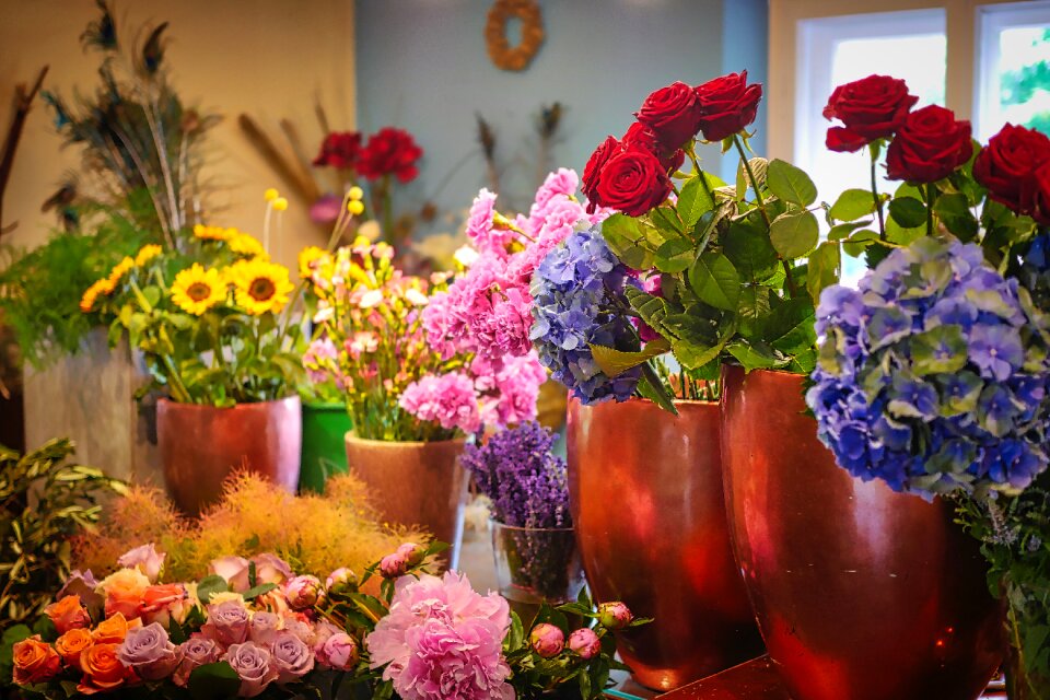 Colorful nature give
