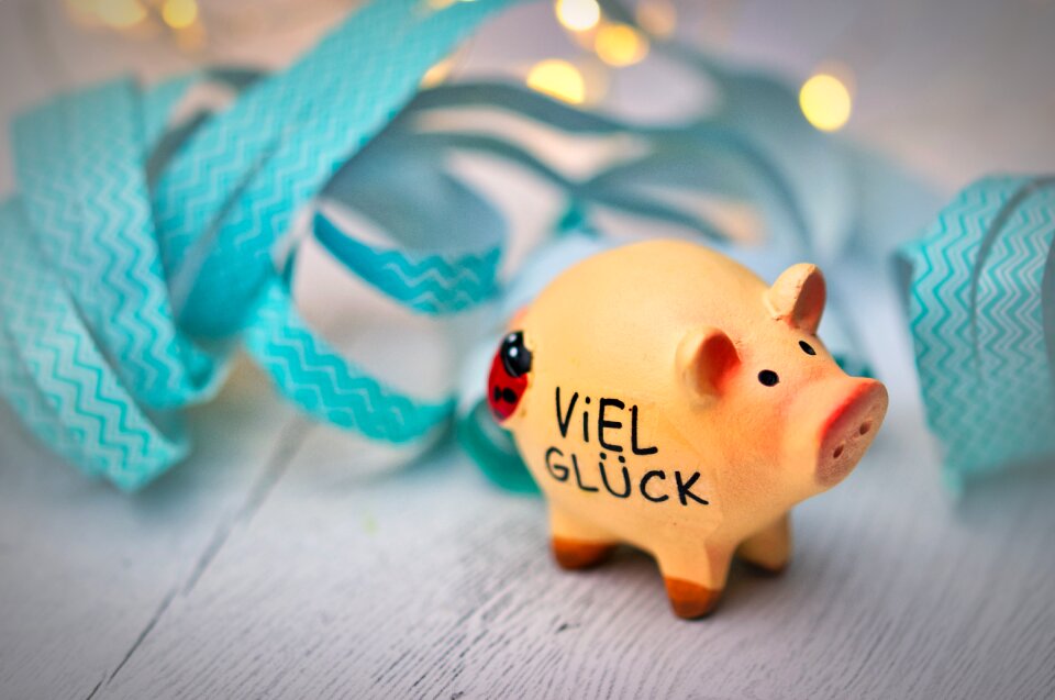Pig new year's day piglet