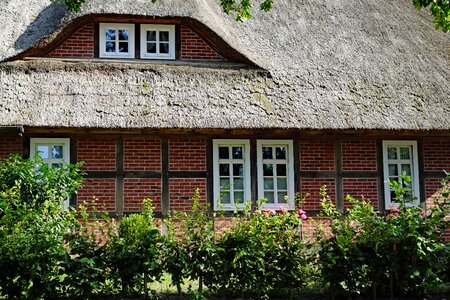 Thatched roof thatched lattice windows