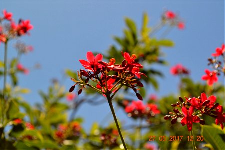 Dsc 0145 Jpg