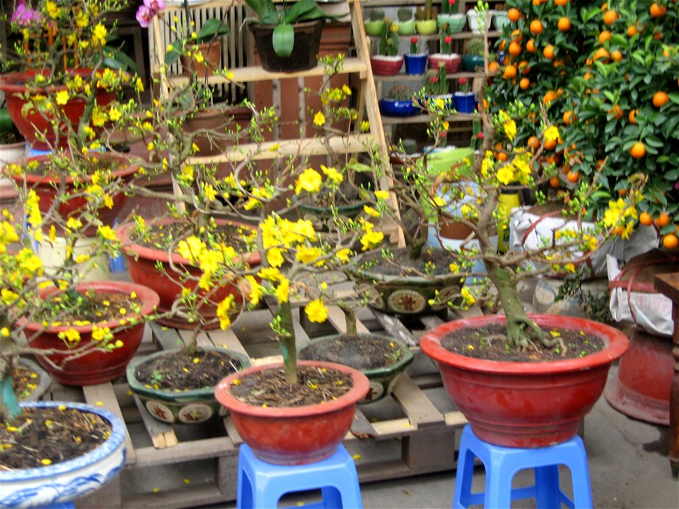 Hình do người truyền lên chụp.