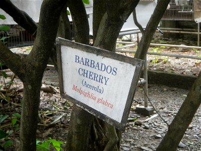 Aven's Nature Farm Artemio G. Veneracion President of ARaMP, Inc. in Barangays Santa Barbara, 14°56'21"N 120°53'25"E Baliuag, Bulacan, Bulacan (Note: Judge Florentino Floro, the owner, to repeat, Dono