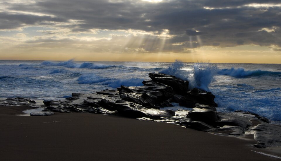 Beach south africa dolphin coast photo