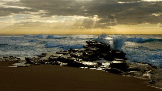 Beach dolphin coast south africa photo